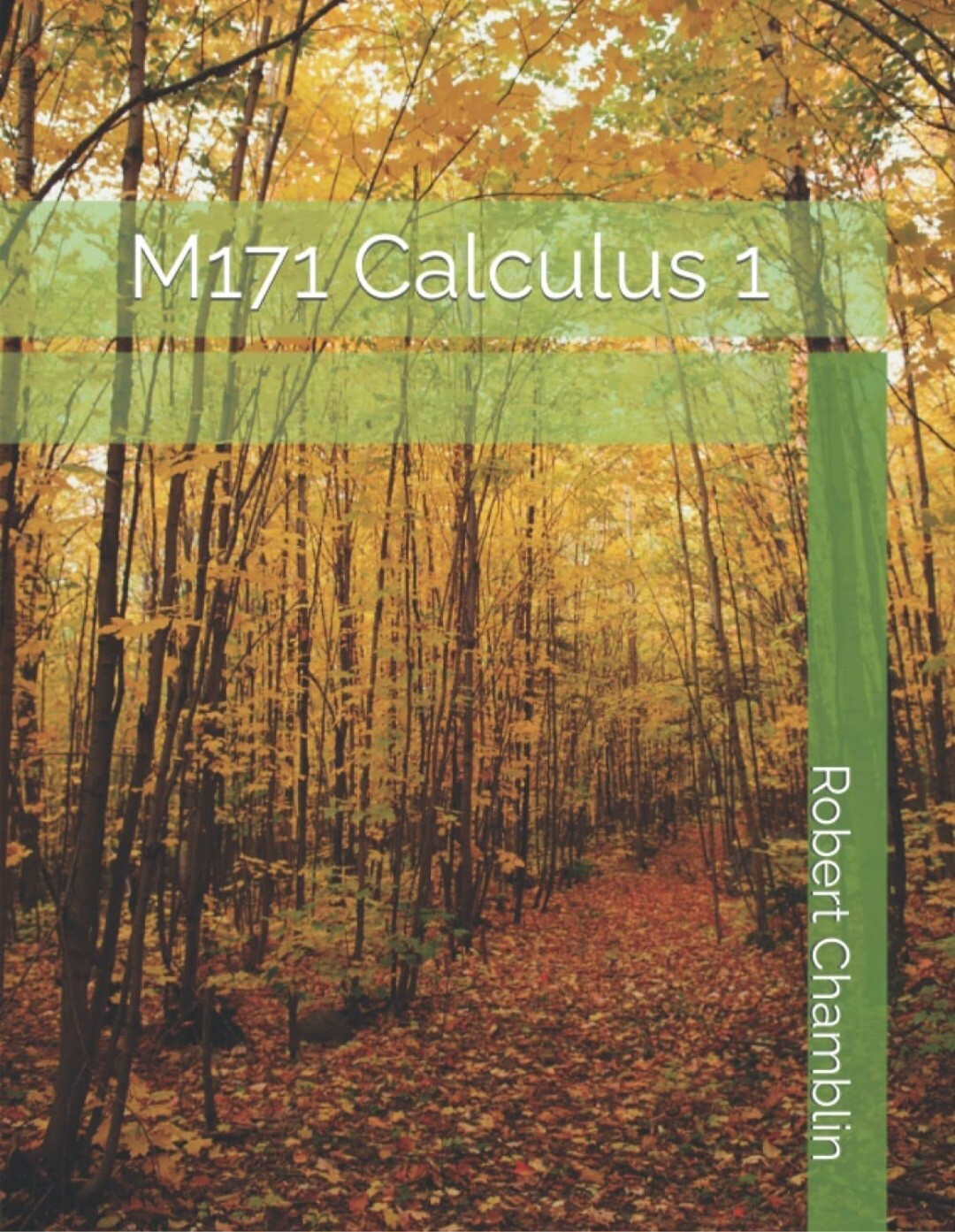 M171 Calculus 1 Book