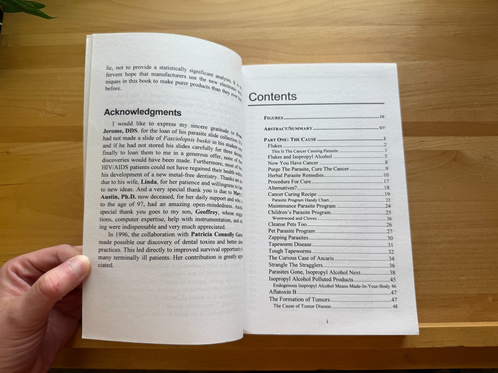 The Cure For All Advanced Cancers by Hulda Regehr Clark New Century Press