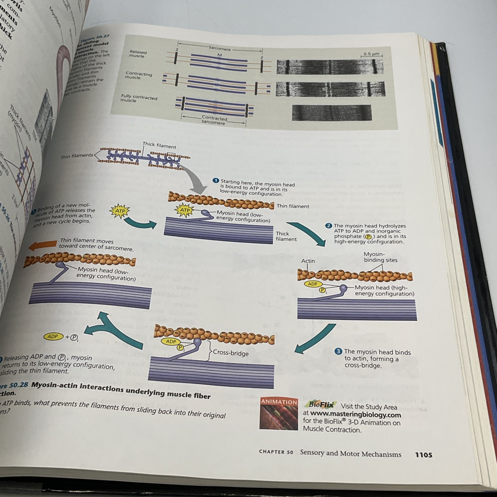 Campbell Biology (ninth Edition) – Hardcover, by Reece, Urry, Cain, 2011 Pearson