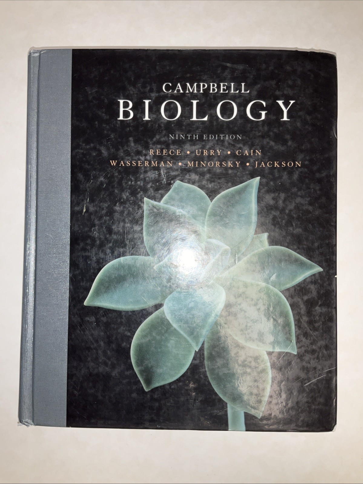 Campbell Biology by Peter V. Minorsky, Robert B. Jackson, Michael L. Cain, Lisa