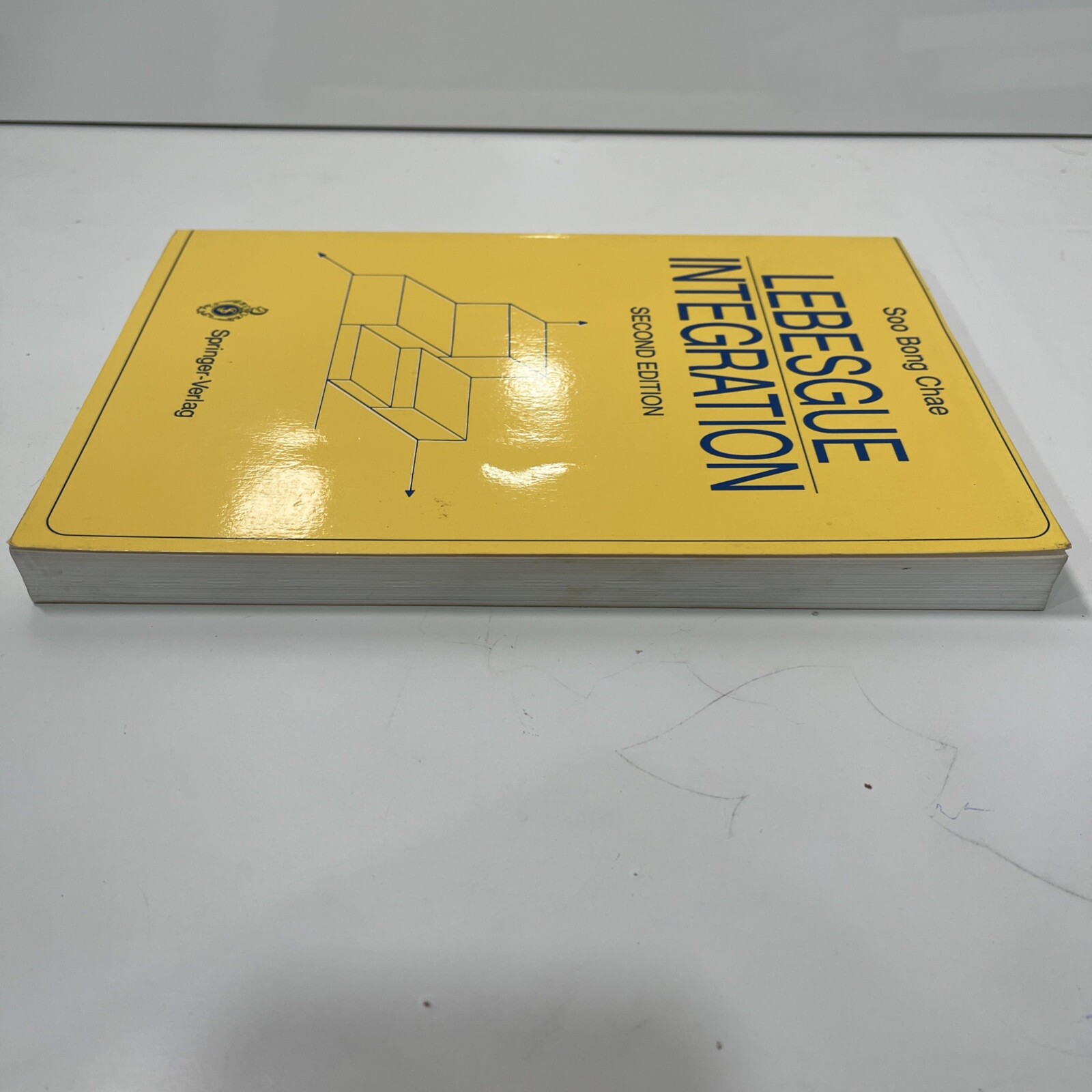 Lebesgue Integration, Paperback by Chae, Soo Bong, 2nd Edition Springer – Verlag