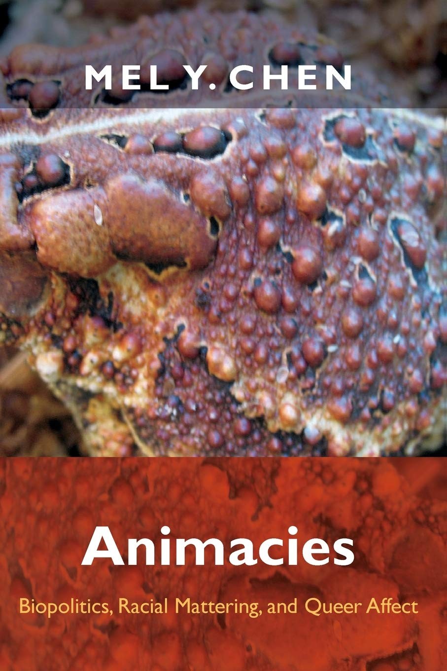 Animacies: Biopolitics, Racial Mattering, and Queer Affect (Perverse Moderni…