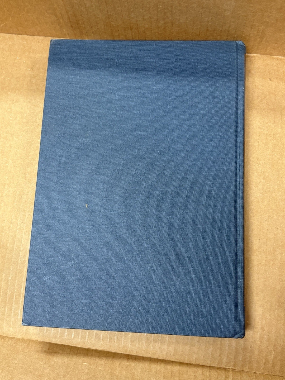 Tongue Diagnosis in Chinese Medicine by Giovanni Maciocia (1995, Hardcover)