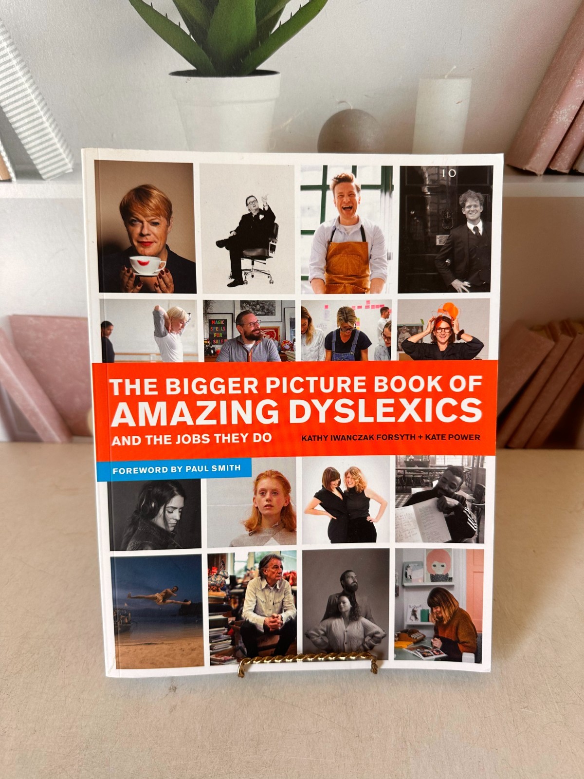 The Bigger Picture Book of Amazi… by Forsyth, Kathy Iwanc