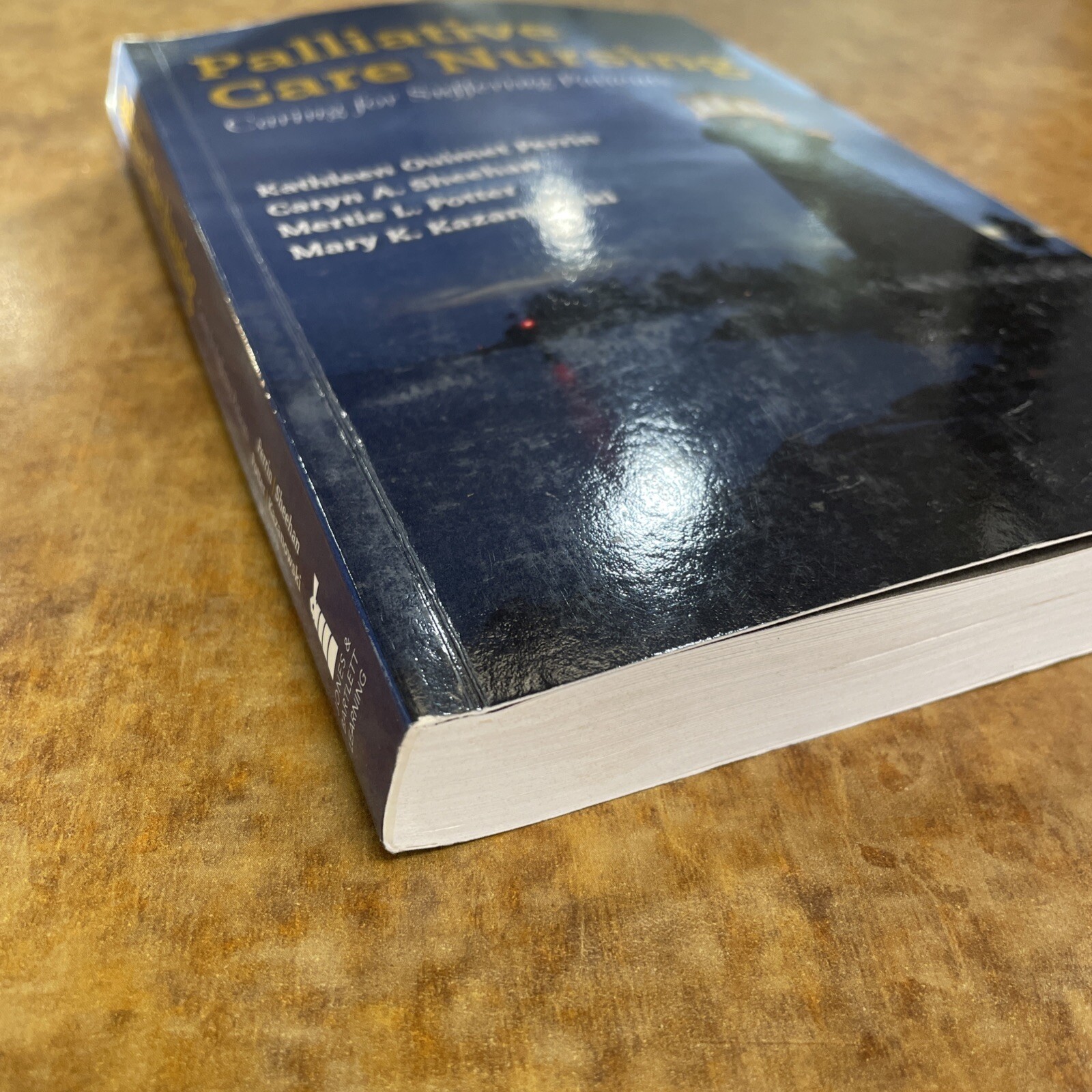 Palliative Care Nursing: Caring for Suffering Patients – Paperback – Very Good