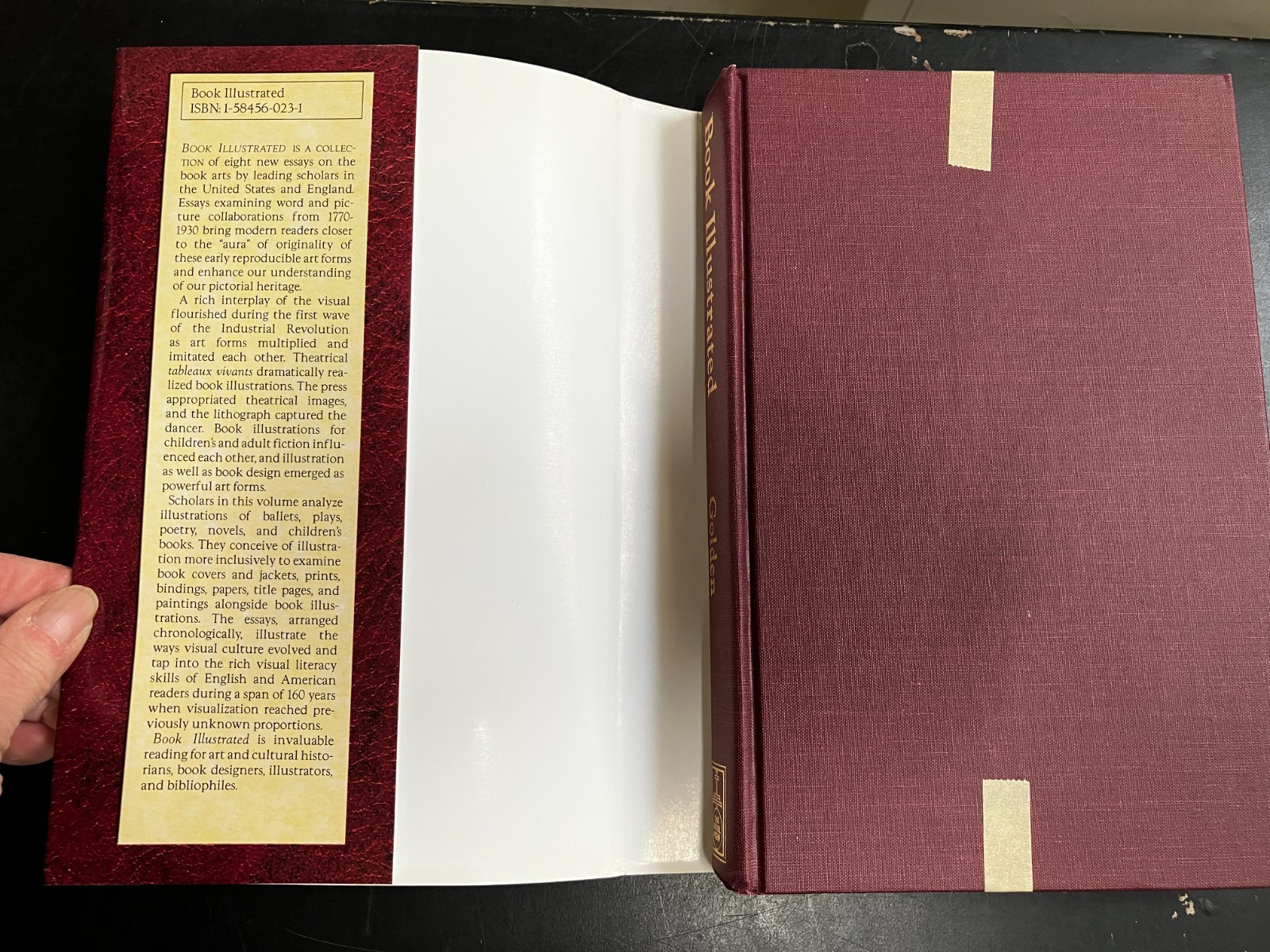 Book Illustrated : Text, Image, and Culture 1770-1930 by C. Golden, HC/DJ/1st Ed
