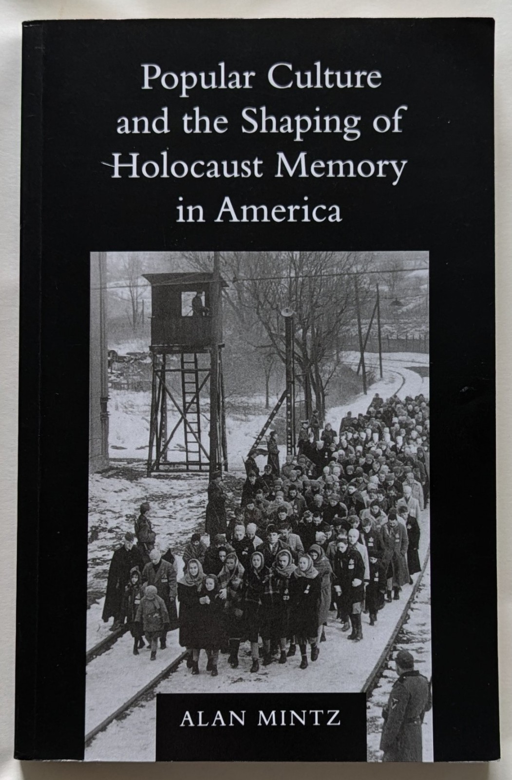 Popular Culture and the Shaping of Holocaust Memory in America, Alan Mintz