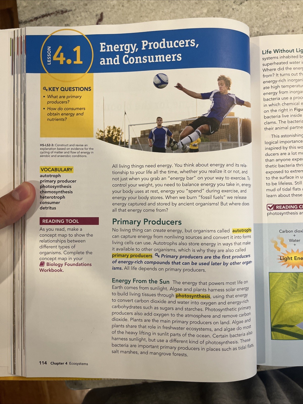 MILLER LEVINE BIOLOGY 2019 Student Edition – Hardcover – Good
