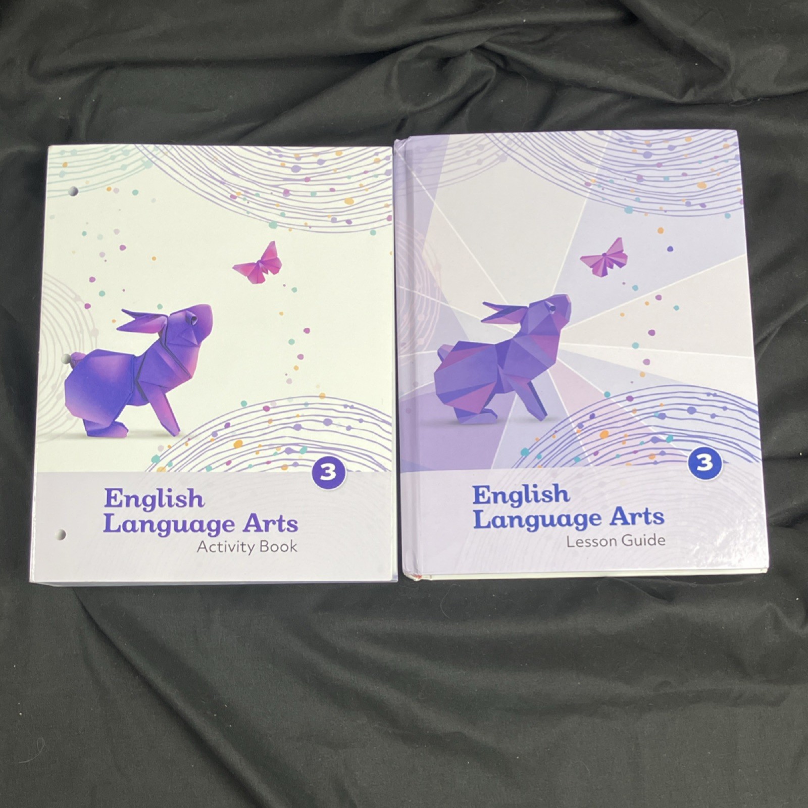 K12 English Language Arts 3 Intermediate Elementary Activity Book MPN 21315