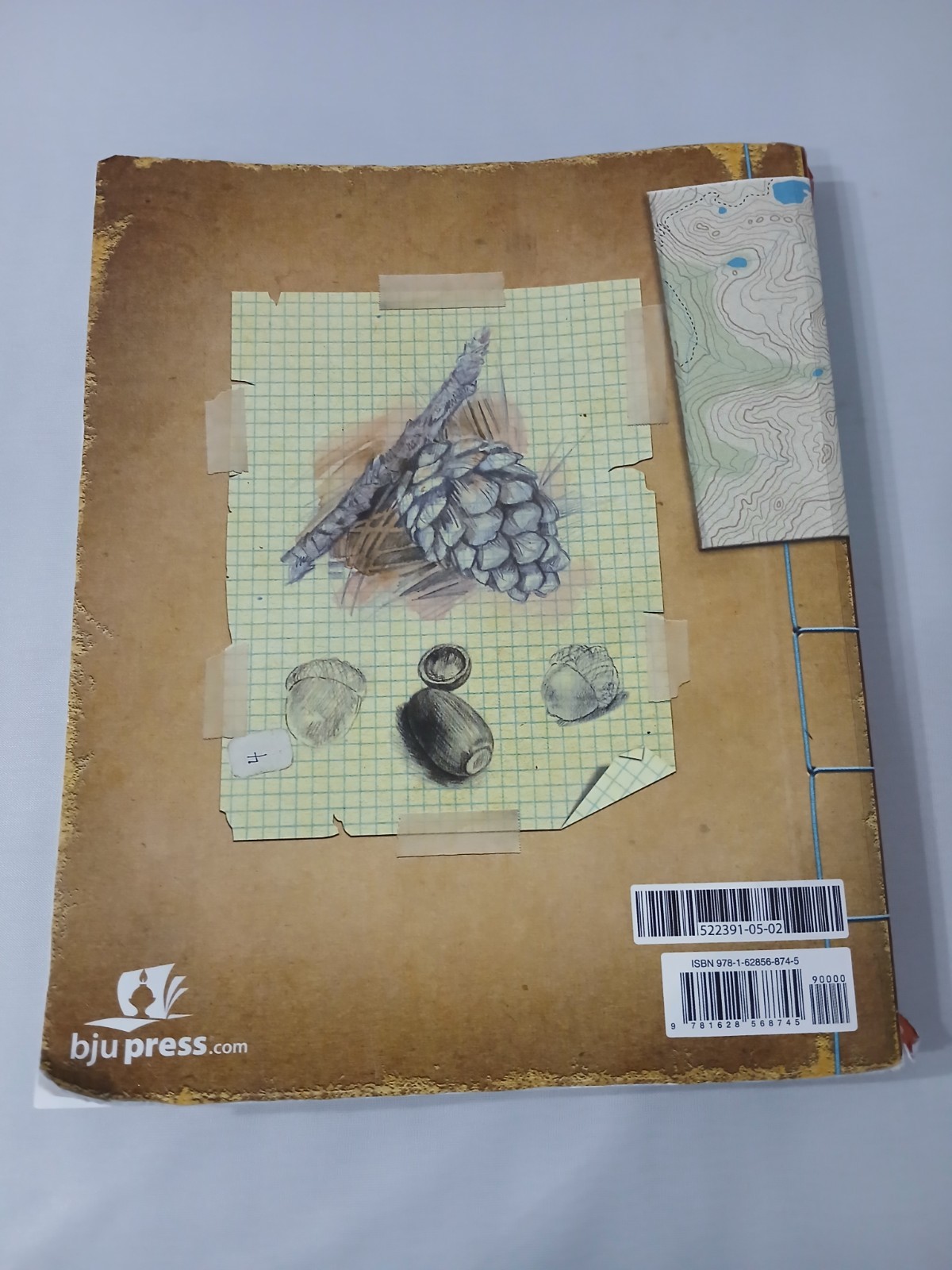 BJU Press SCIENCE 6 Student Textbook 522391 Bob Jones Text CURRENT 4th Ed