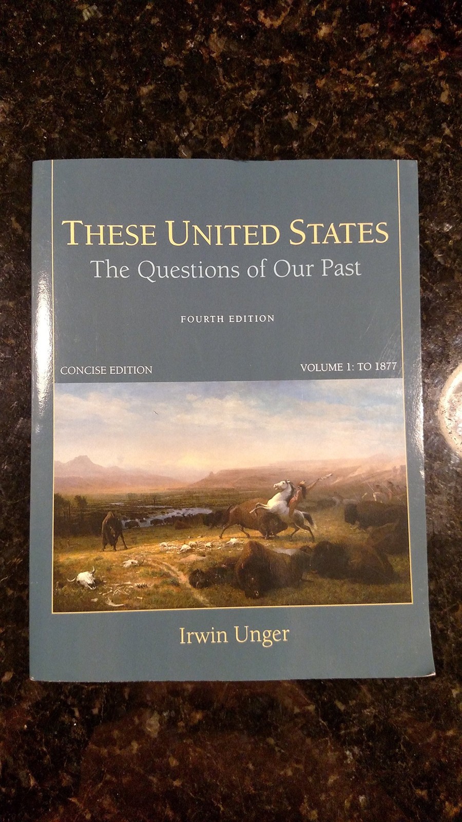 These United States: The Questions of Our Past, Concise Edition, Vol. 1 by Unger