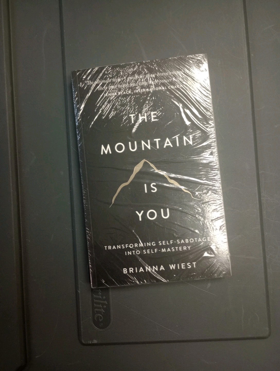 Mountain Is You : Transforming Self-Sabotage into Self-Mastery by Brianna Wiest