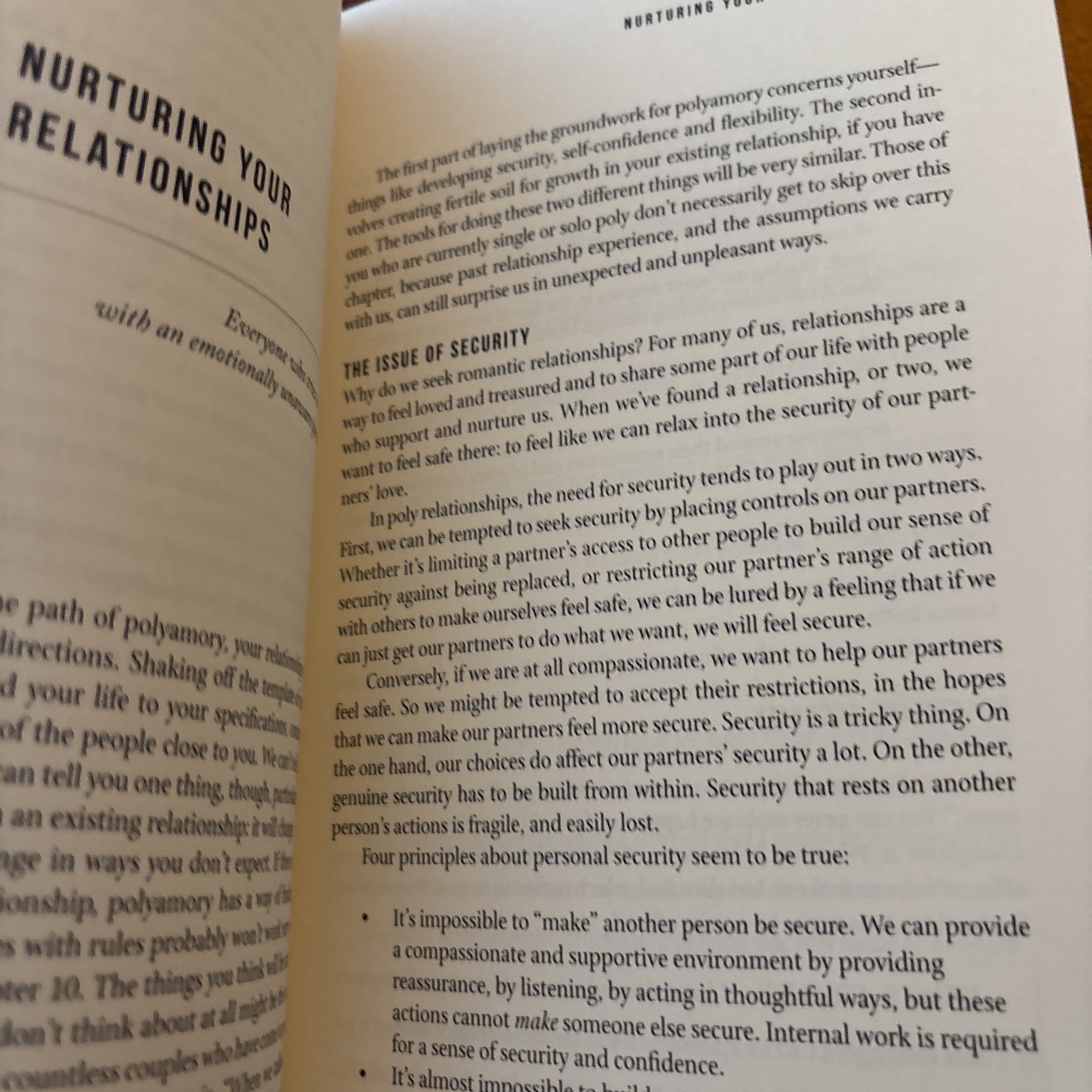 More Than Two: A Practical Guide to Ethical Polyamory by F. Beaux and E. Rickert