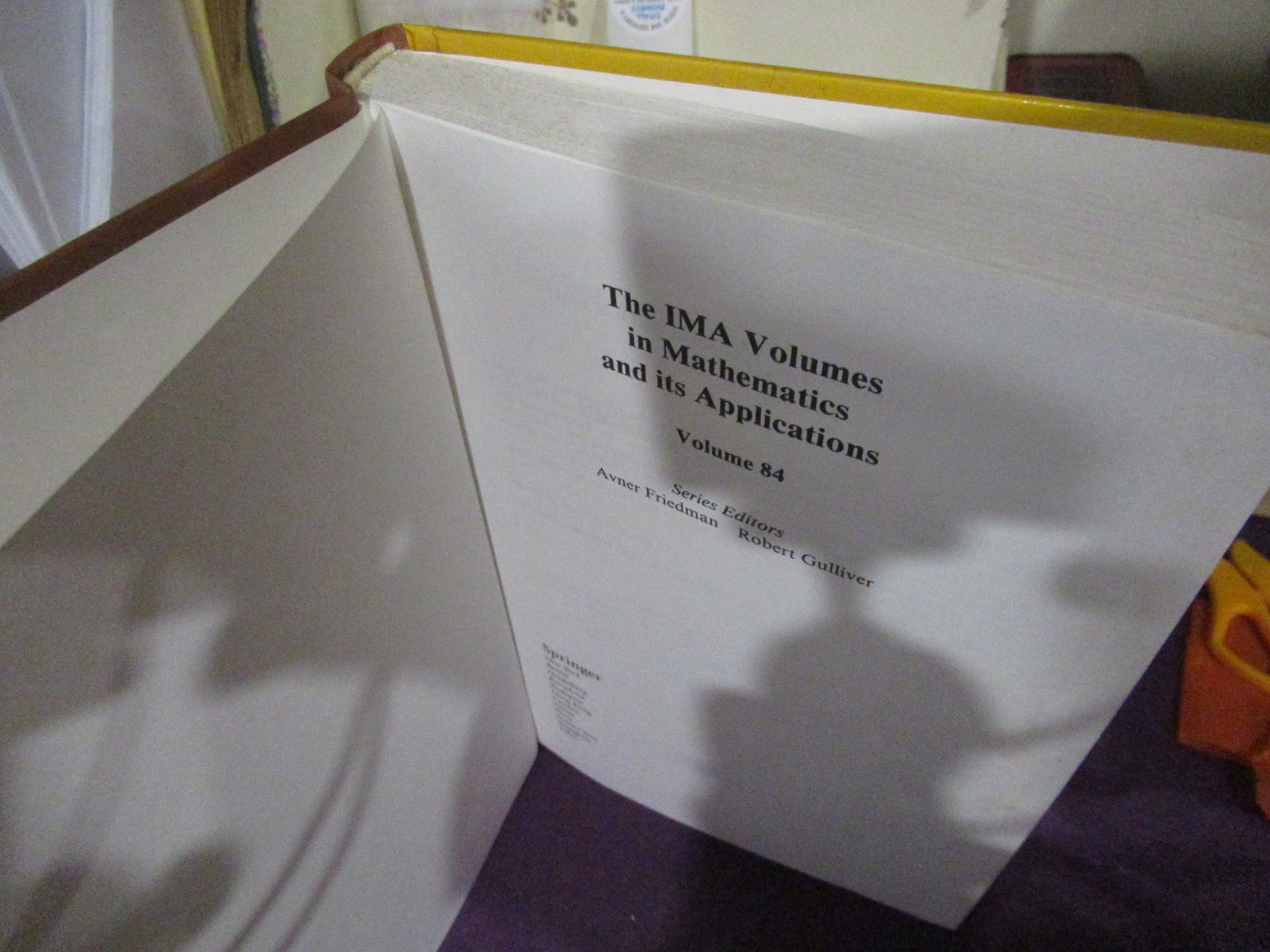 Springer Classical and Modern Branching Processes Athreya Jagers 1997 Hardcover