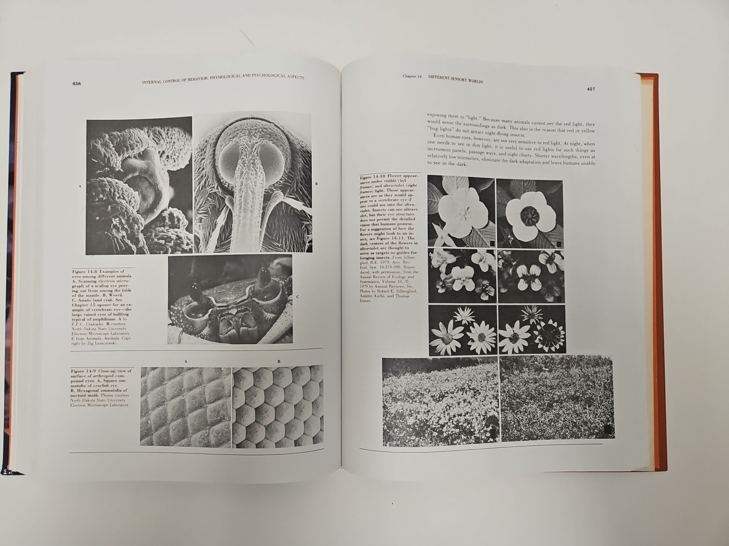 Biology Of Animal Behavior Textbook