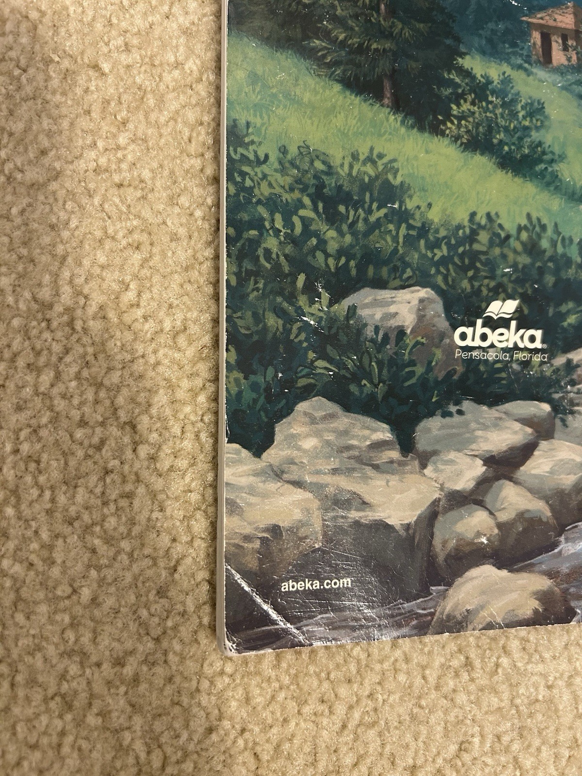 Abeka Reading Program 4 Set Of 9 Books Including Song Of The Brook