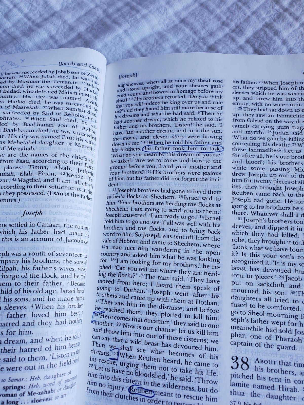 Oxford Study Bible Ed. Suggs & Cambridge Companion to Biblical Interpretation PB