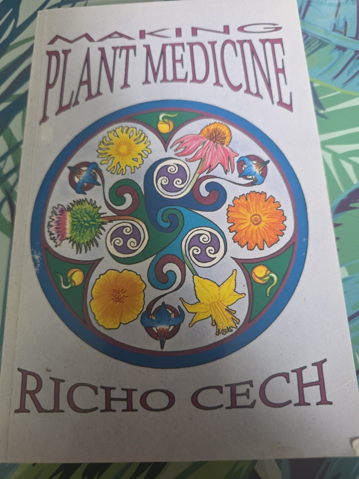 Making Plant Medicine by Richo Cech (2016, Trade Paperback)