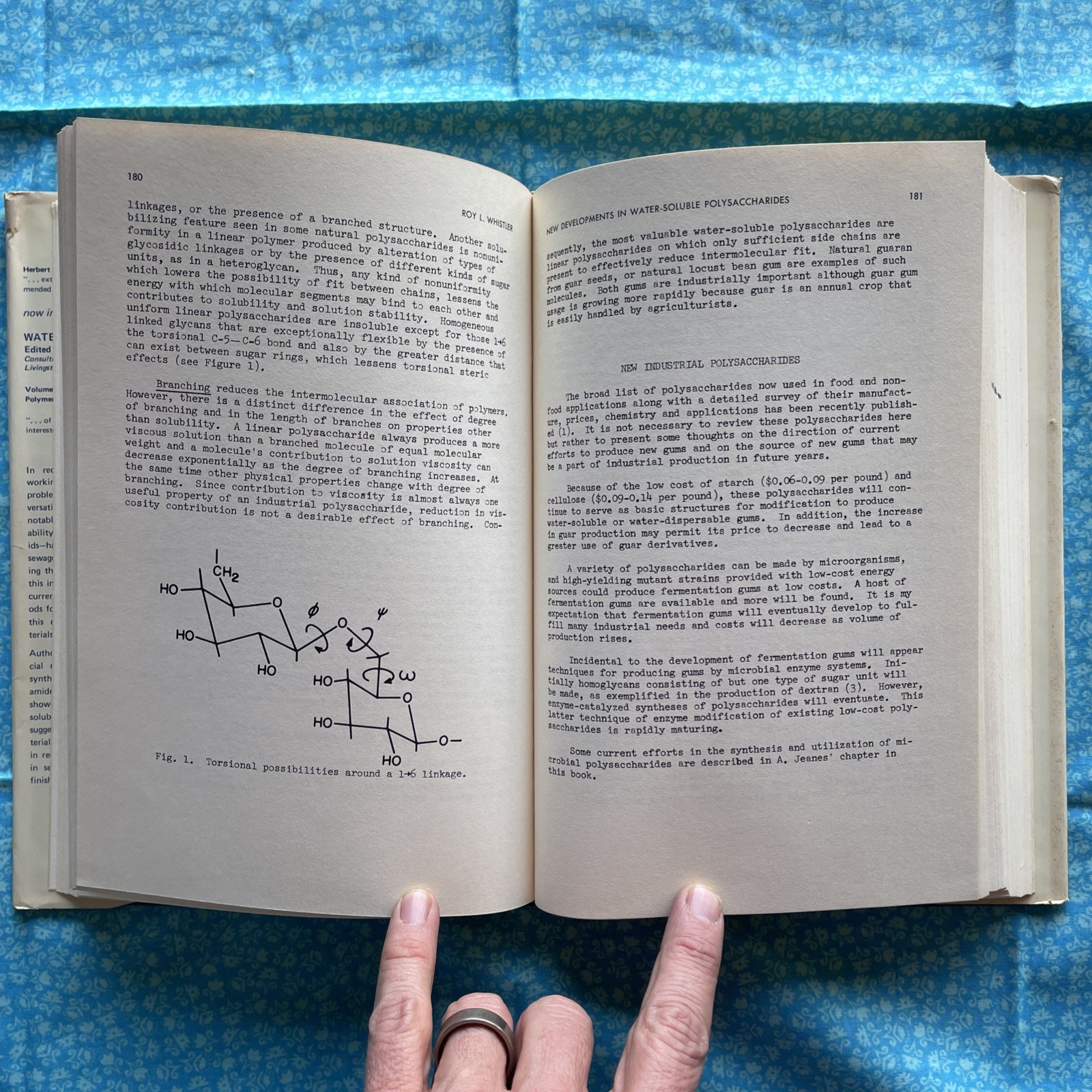 Water-Soluble Polymers, Volume 2 by N.M. Bikales (1973 Vintage HCDJ 424 Pages)