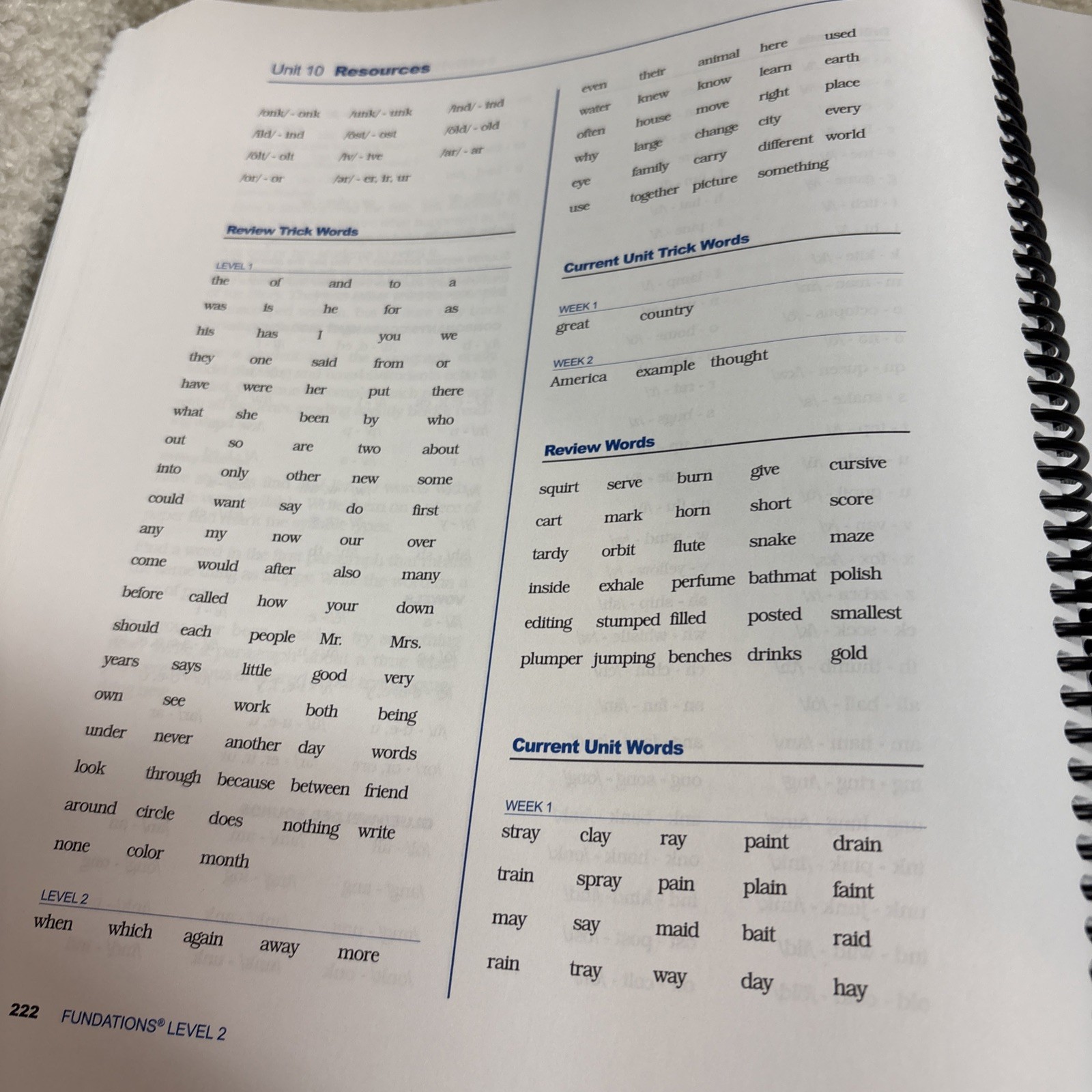 FUNDATIONS: Teacher’s Manual Level 2 & Letter Board Wilson Language