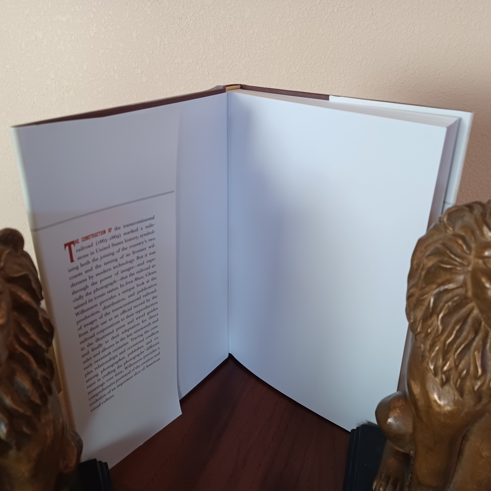 IRON MUSE: PHOTOGRAPHING THE TRANSCONTINENTAL RAILROAD Hardcover UNREAD!