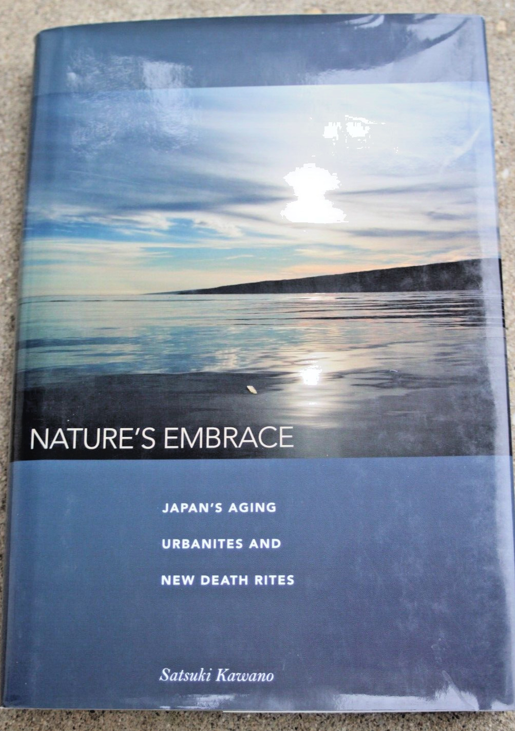 2010 Nature’s Embrace : Japan’s Aging Urbanites and New Death Rites Satsuki HCDJ