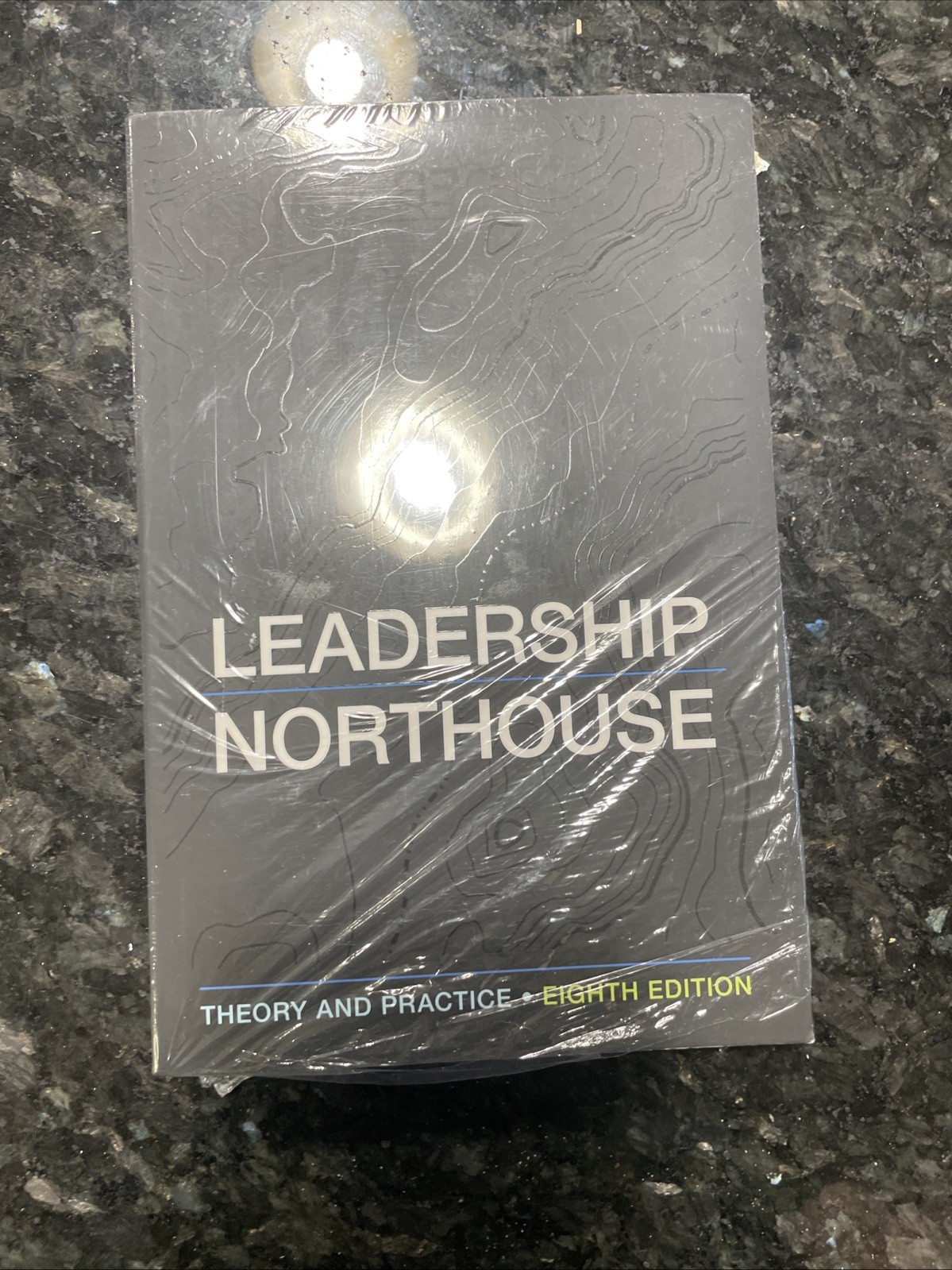Leadership : Theory and Practice by Peter G. Northouse (2018, Trade Paperback)