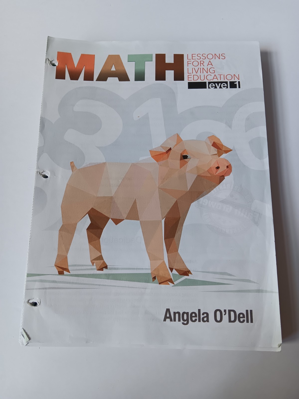 Math Lessons For A Living Education Level 1 Unused W/Missing Appendix Plz Read