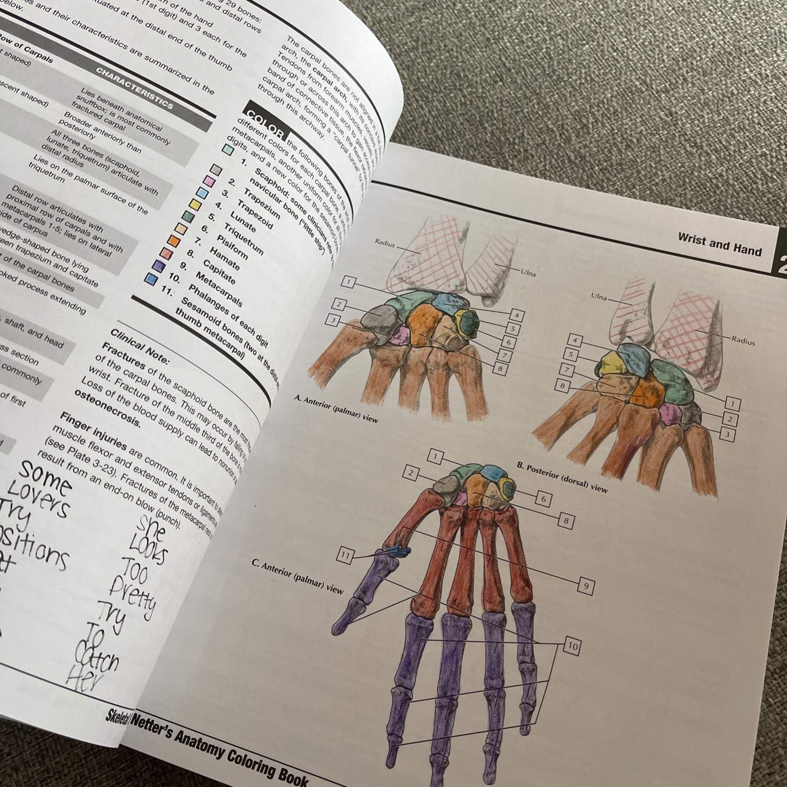 Netter’s Anatomy Coloring Book by John T. Hansen 2021 Paperback