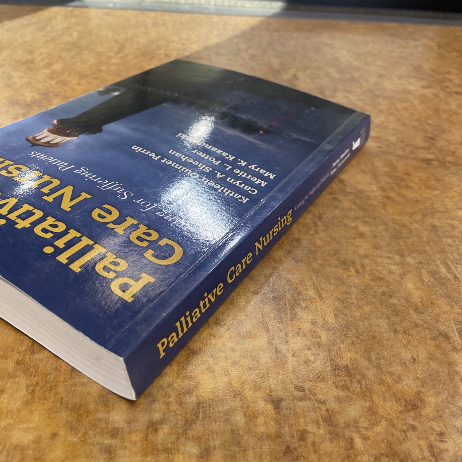 Palliative Care Nursing: Caring for Suffering Patients – Paperback – Very Good