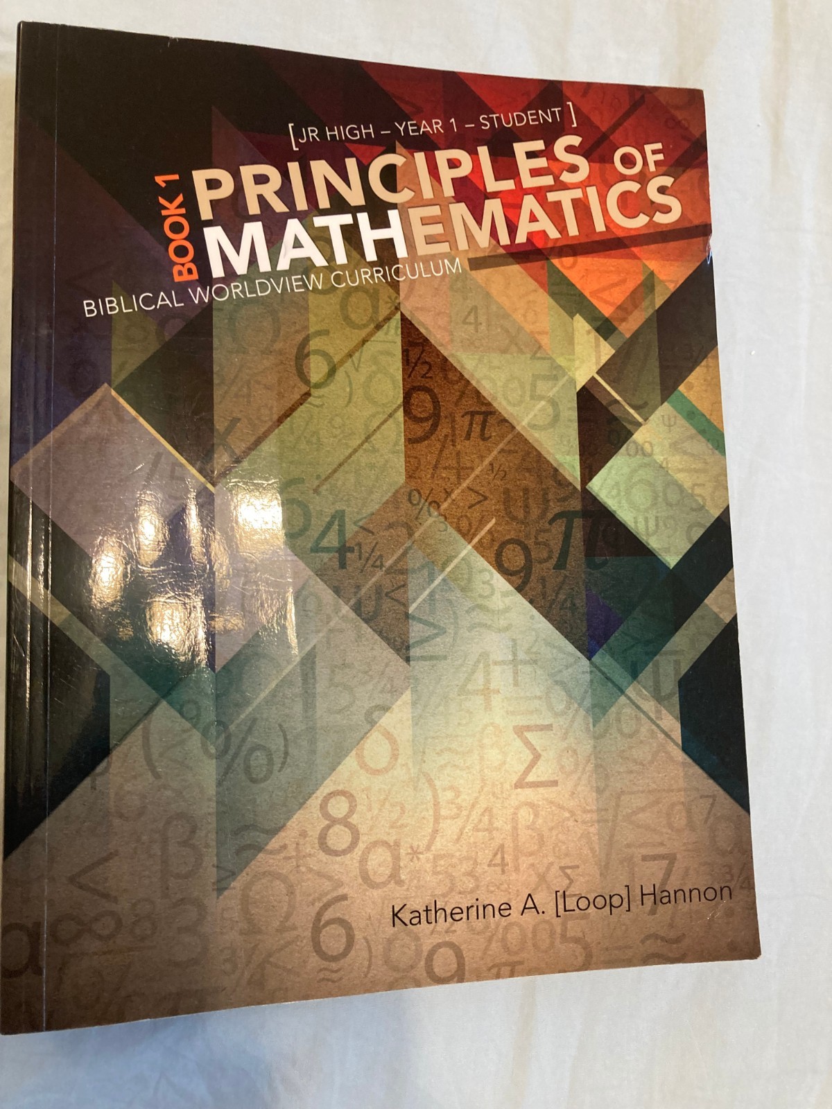 Principles of Mathematics Book 1 Student Text (Master Books, Katherine Loop)
