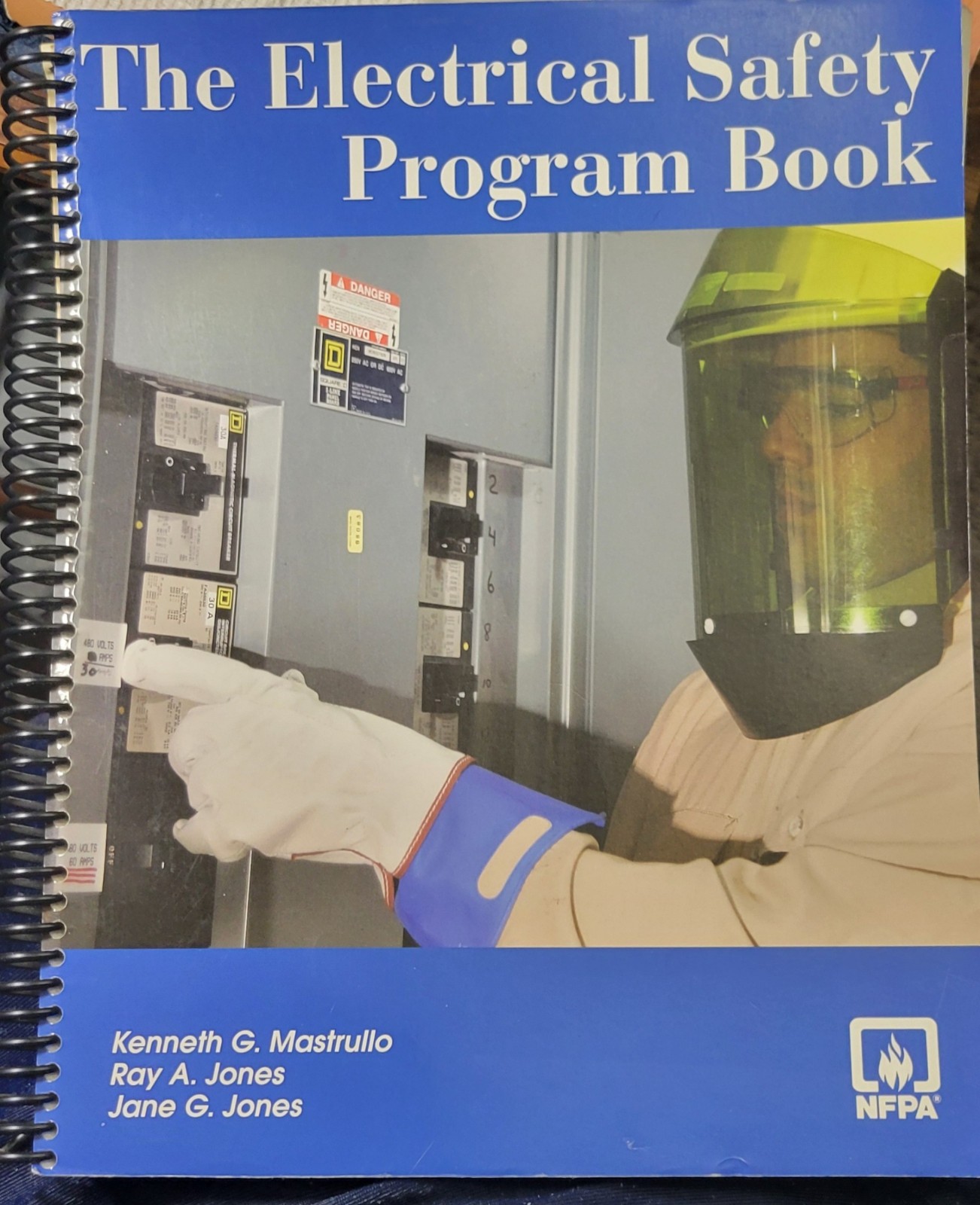 The Electrical Safety Program Book by Kenneth Mastrullo with CD