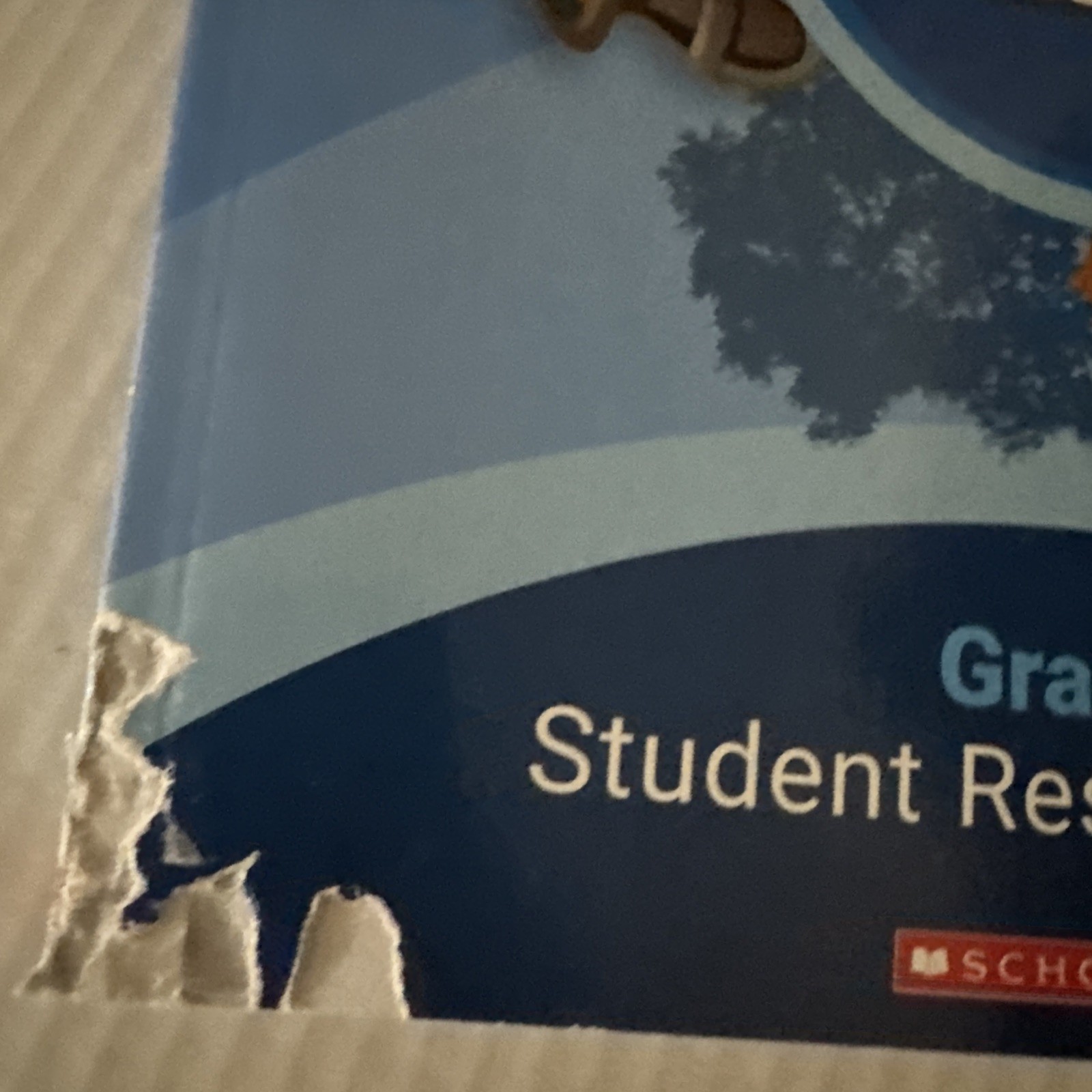 Scholastic Literacy Grade 1 Units 1-5 Student Resource Book Unused