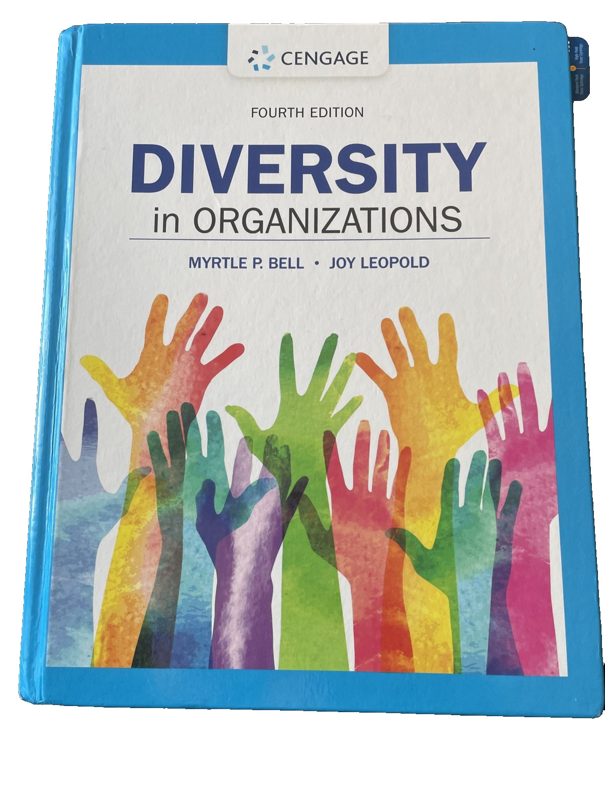 Diversity in Organizations – Paperback, by Bell Myrtle; Leopold Joy – Very Good
