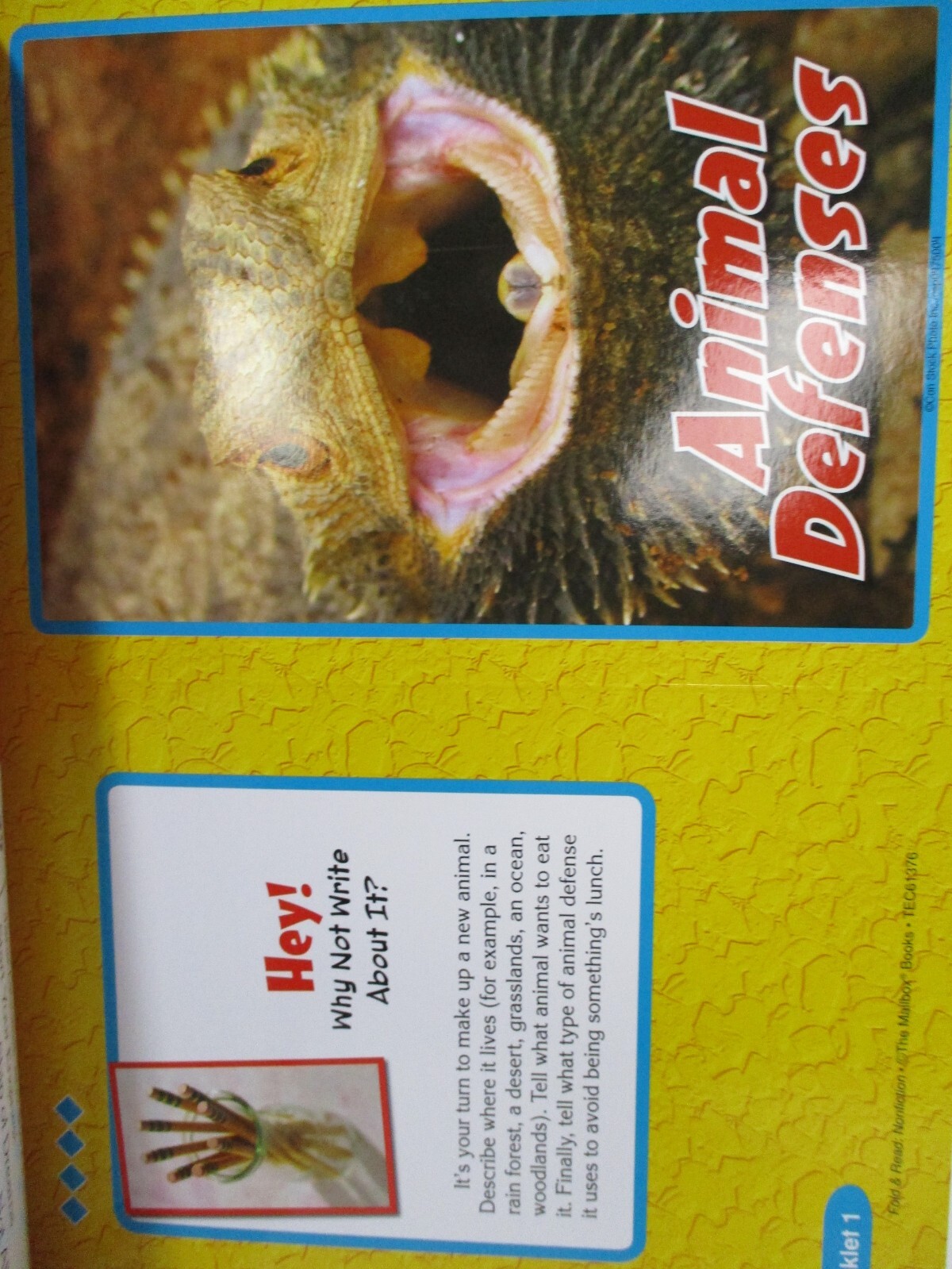 Prelaminated Mailbox Fold & Read Grades 4-6 Nonfiction Mini Books Homeschool