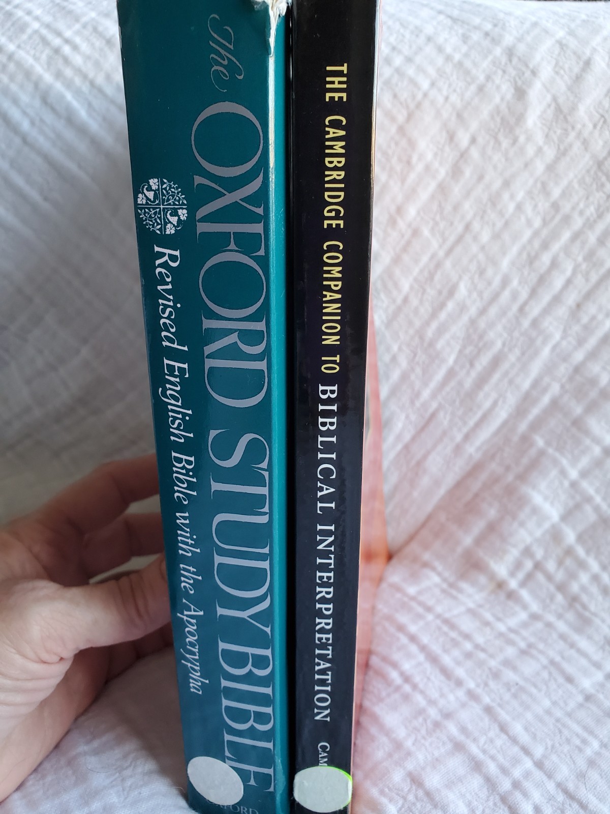 Oxford Study Bible Ed. Suggs & Cambridge Companion to Biblical Interpretation PB