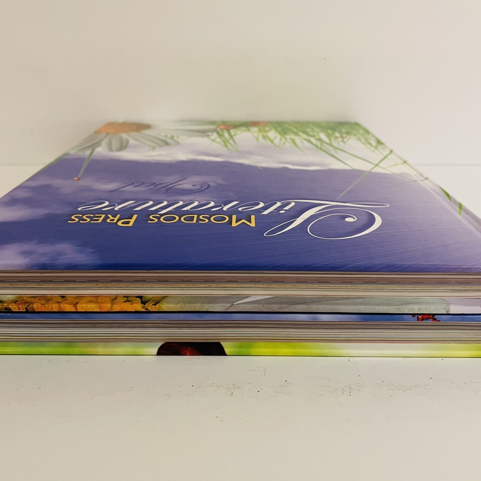 Mosdos Press Literature Opal Textbook Lot of 2 Student Hardcover Texts 3rd Grade