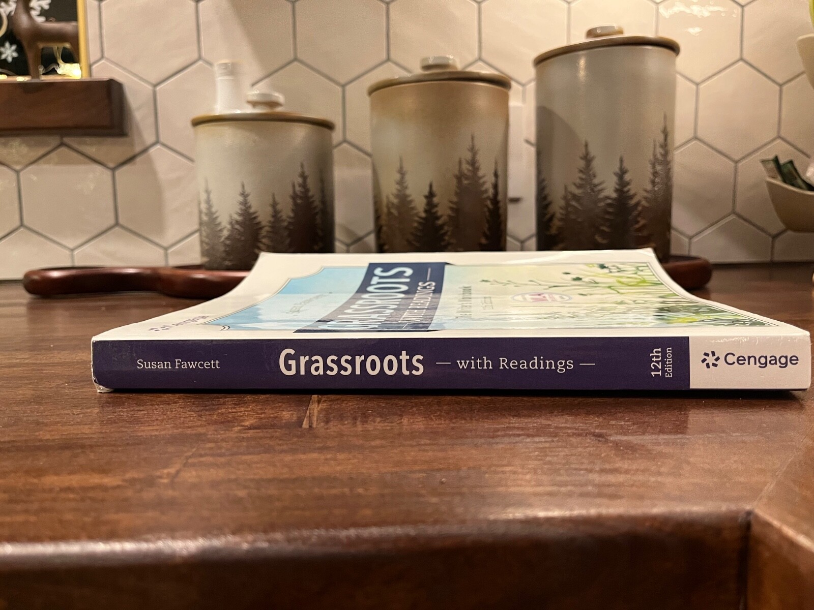 Mindtap Course List Ser.: Grassroots W/ Readings: the Writer’s Workbook (w/…
