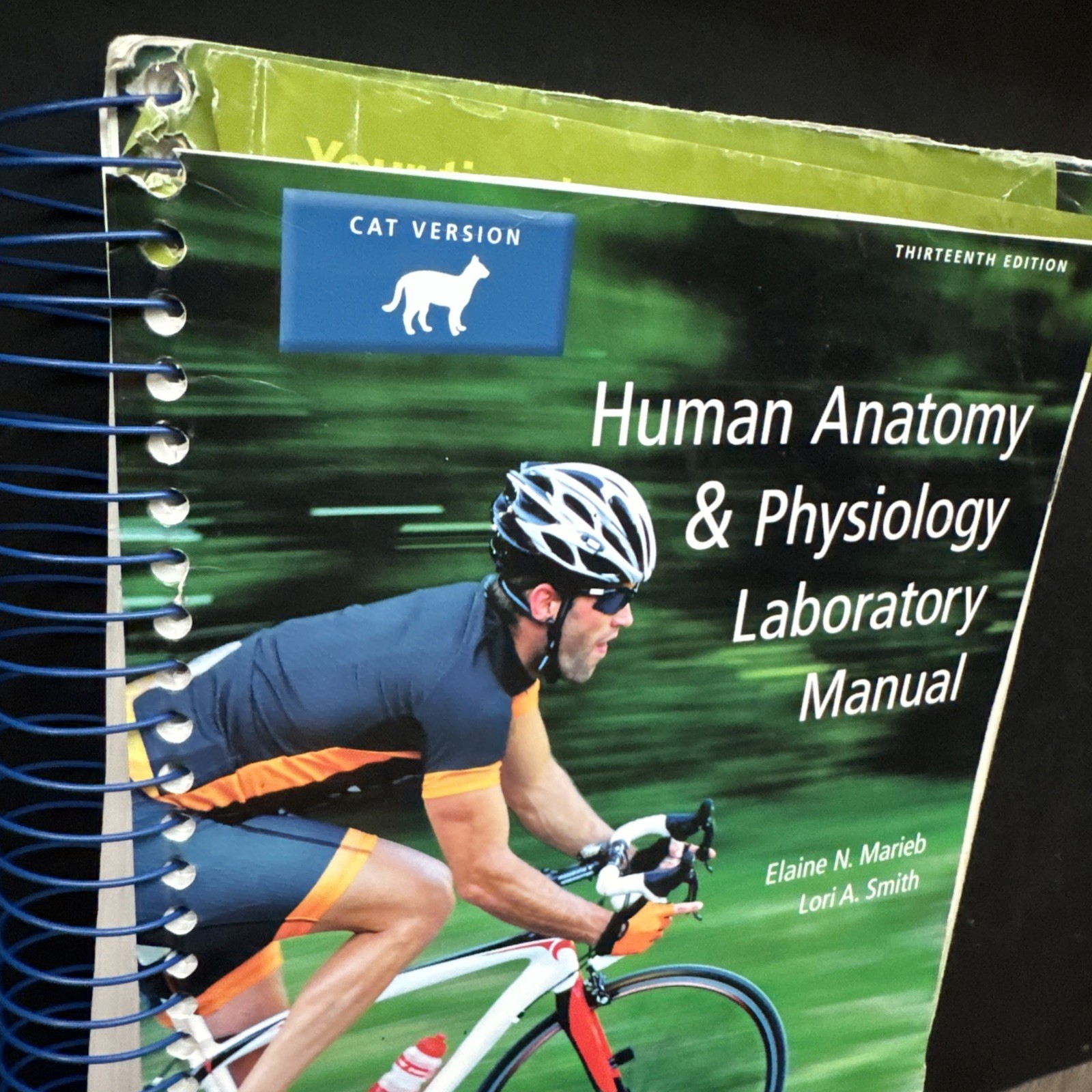 Human Anatomy and Physiology Laboratory Manual, Cat Version by Lori Smith and…