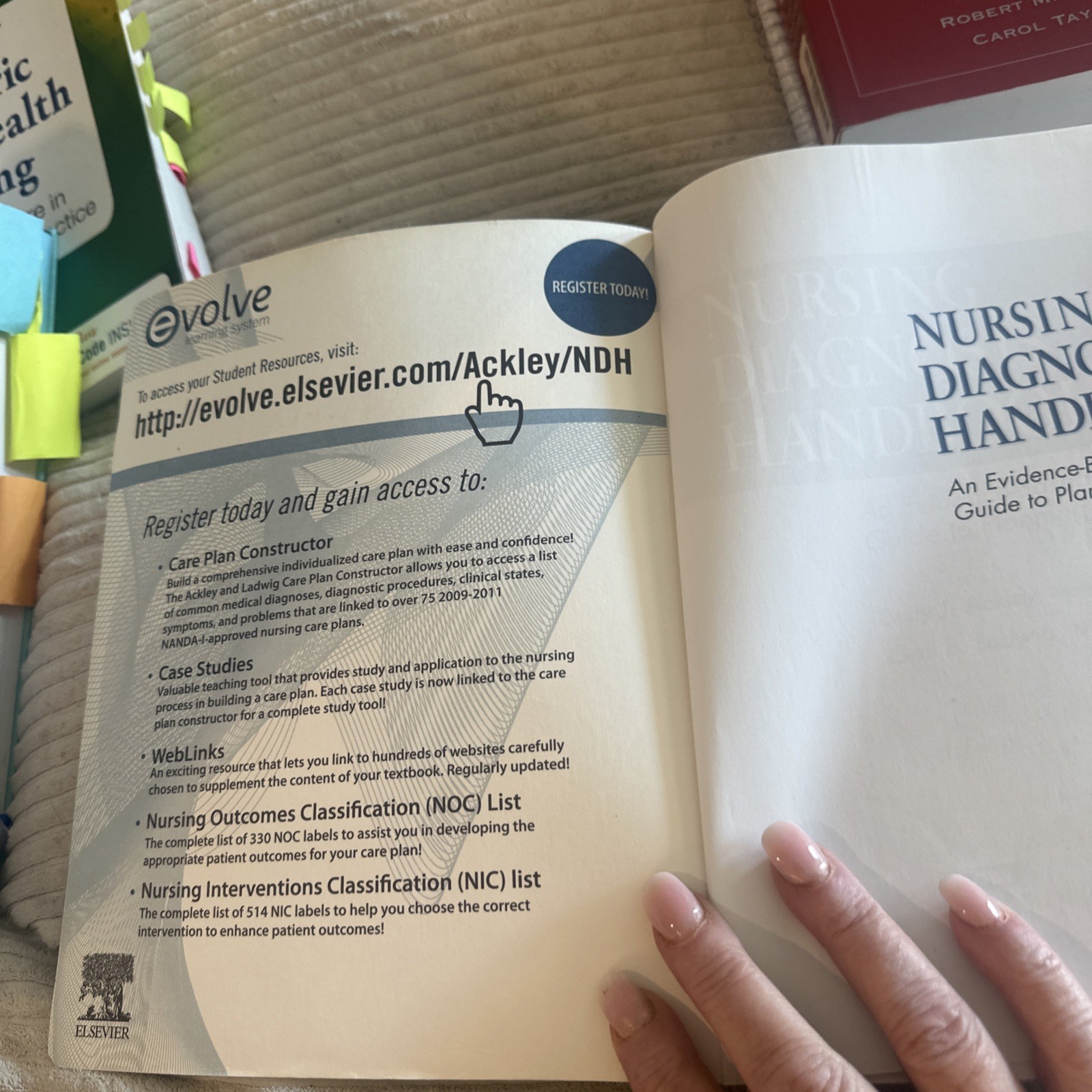 Nursing Diagnosis Handbook : An Evidence-Based Guide to Planning Care by Gail B.