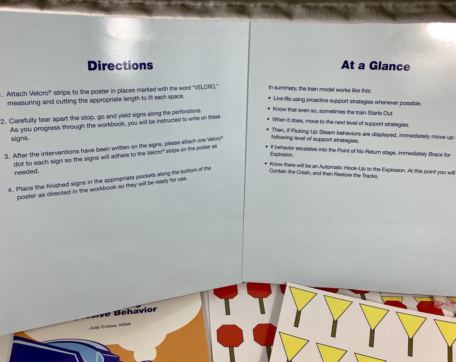 Outsmarting Exploding Behavior AUTISM Judy Endow Visual System Of Support NICE