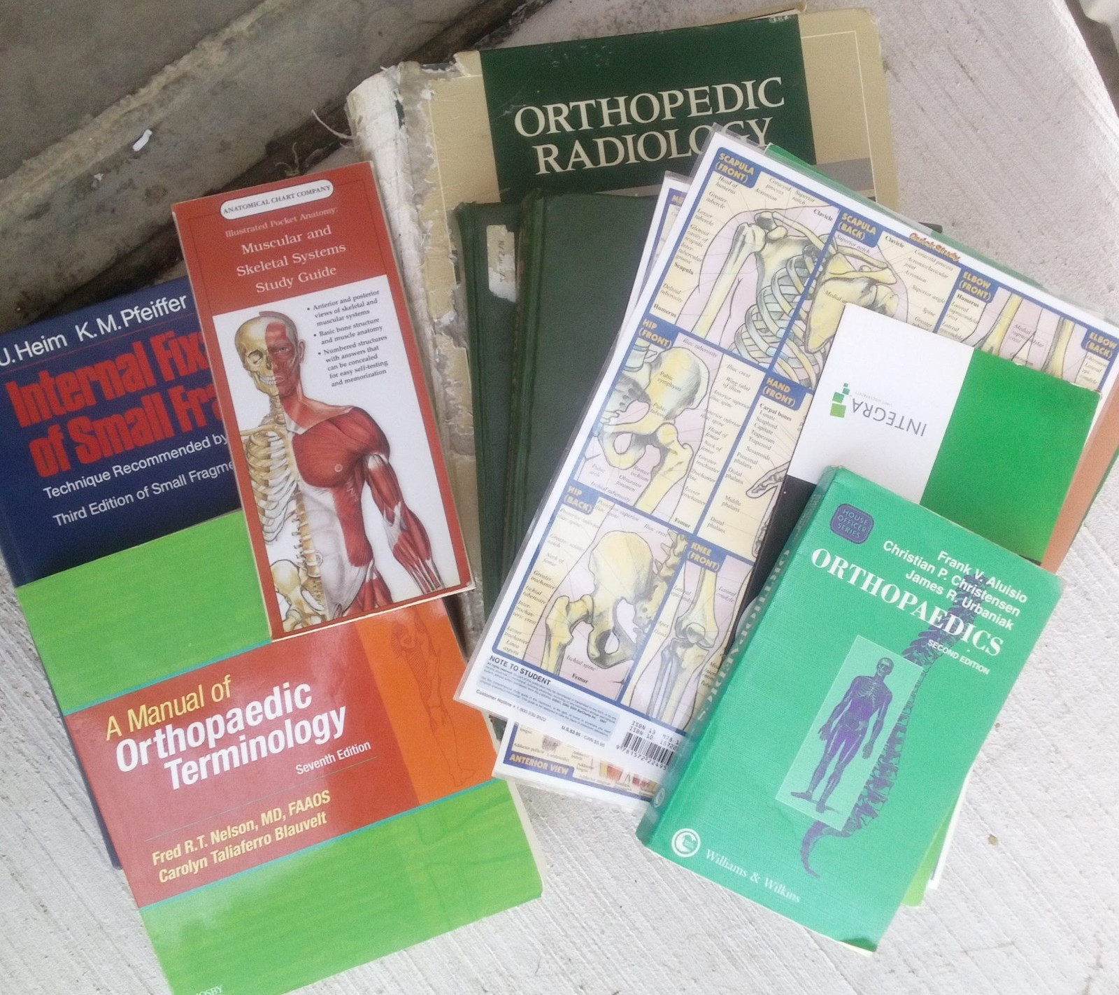 Orthopaedics 2nd Edition Textbook Williams & Wilkins, English, Aluisio
