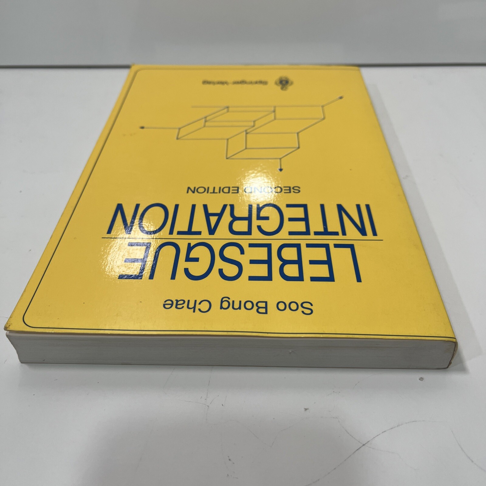 Lebesgue Integration, Paperback by Chae, Soo Bong, 2nd Edition Springer – Verlag