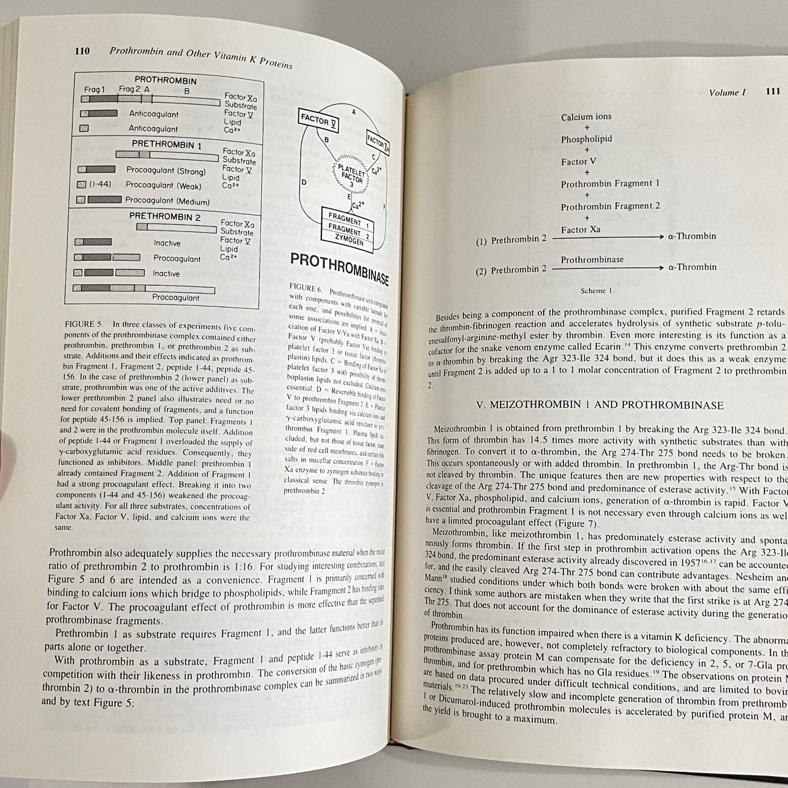 Prothrombin and Other Vitamin K Proteins ; Seegers and Walz ; HC 1986