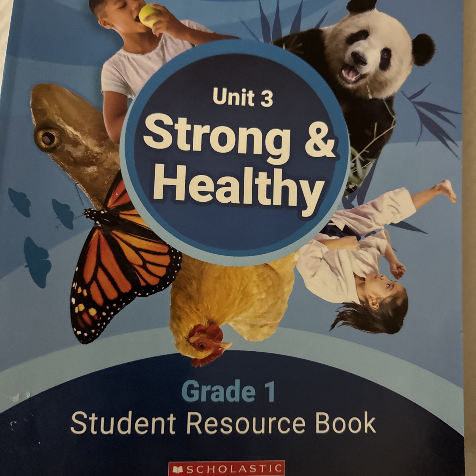 Scholastic Literacy Grade 1 Units 1-5 Student Resource Book Unused