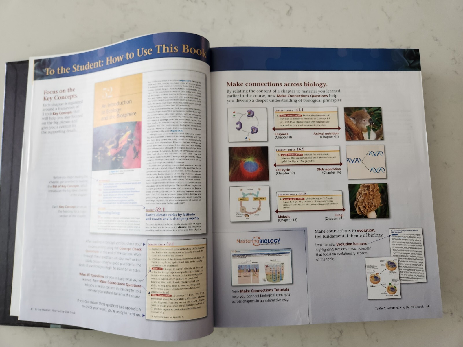 Campbell Biology 9th Edition