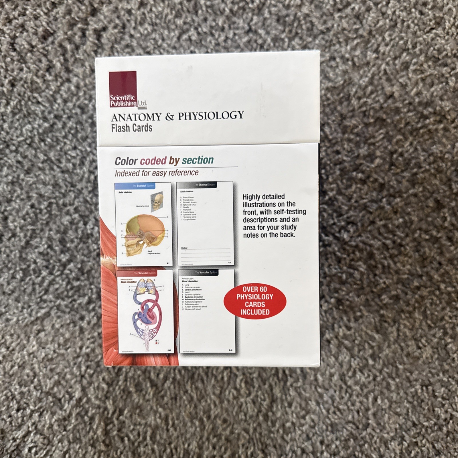 Anatomy & Physiology Flash Cards Scientific Publishing 335 Cards Pre-Med Box