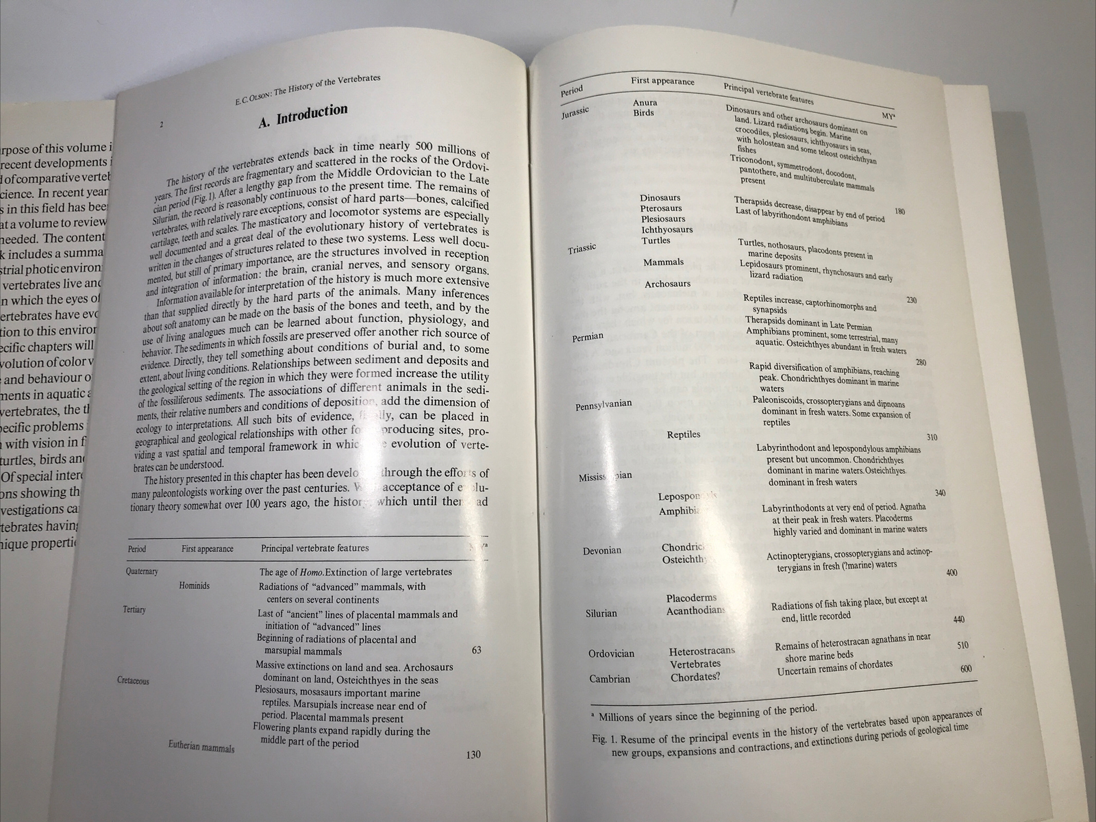 Handbook of Sensory Physiology Volume VII/5 The Visual System in Vertebrates