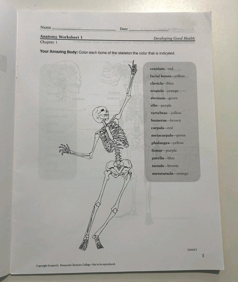 A Beka Developing Good Health Textbook Tests Key Homeschool Curriculum 3E Abeka