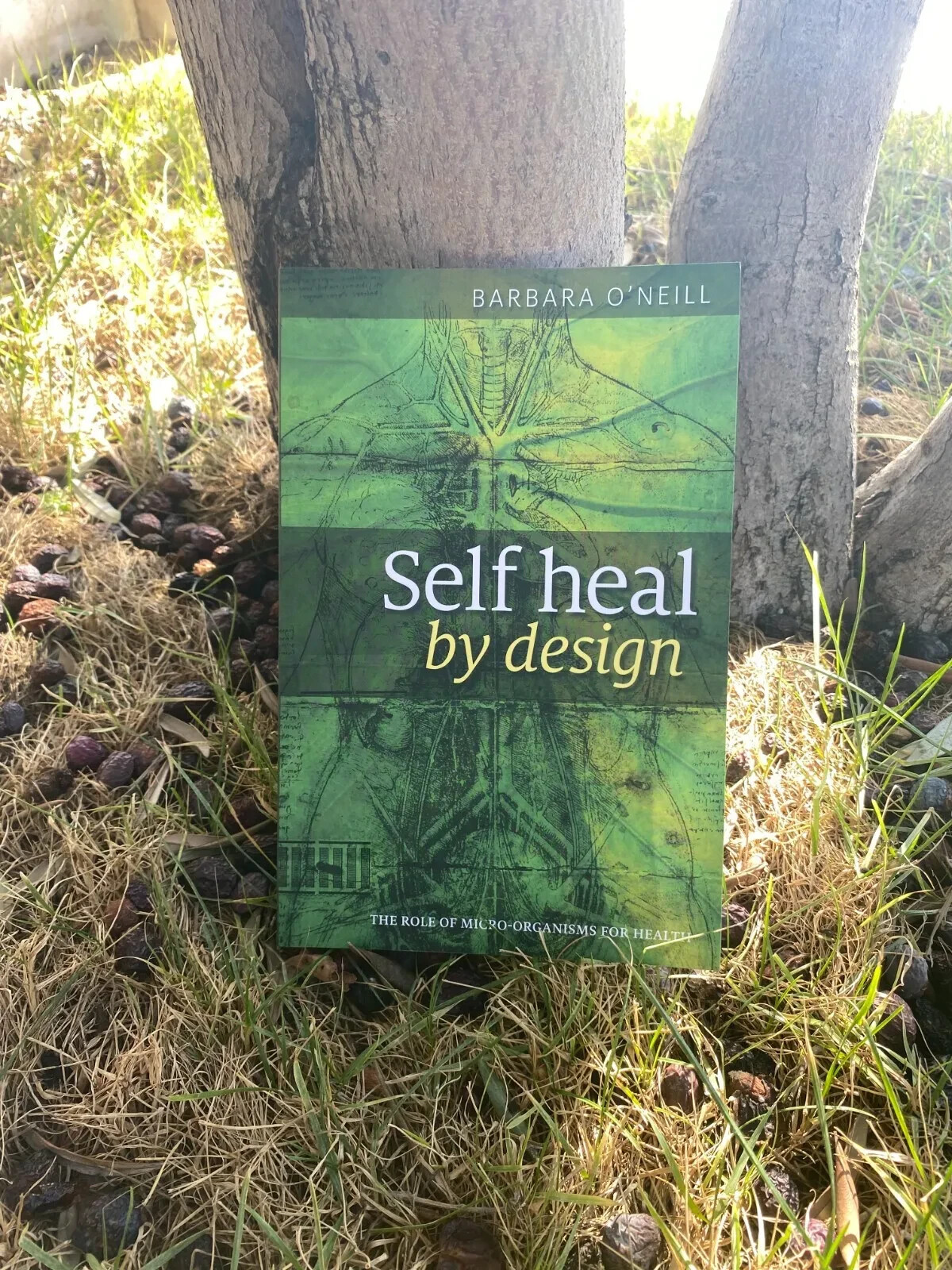 Self Heal By Design Book By Barbara O’Neill Worldwide International Shipping